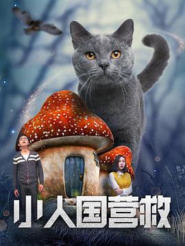 《林登·约翰逊》曝剧照 伍迪·哈里森饰美国总统 2015-09-28 伍迪·哈里森主演的美国政治传记电影《林登·约翰逊》正在新奥尔良和华盛顿(特区)热拍，近日，片方曝光了哈里森的剧照，他在片中饰演美国第36任总统林登·贝恩斯·约翰逊。